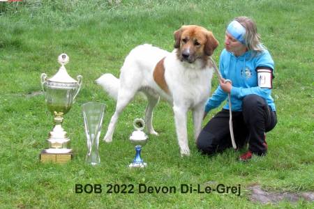 Devon Di-Le-Grej - klubový vítěz pes, BOB 2022
