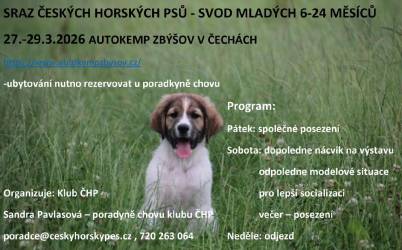 Svod mladých psů 2026