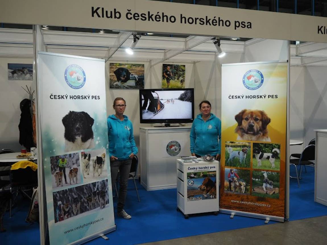 Světová výstava psů Brno 2021