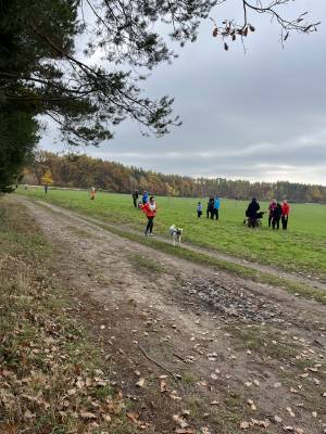 Šampionát plemen 2025 - canicross