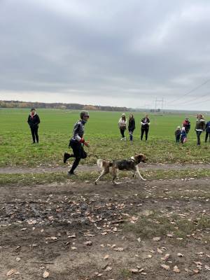 Šampionát plemen 2025 - canicross