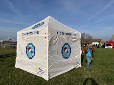 Šampionát plemen 2025 - canicross