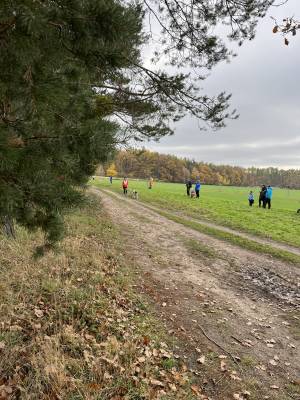 Šampionát plemen 2025 - canicross