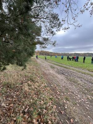 Šampionát plemen 2025 - canicross