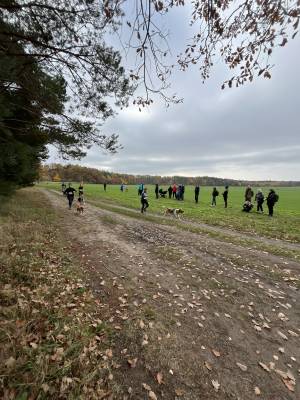 Šampionát plemen 2025 - canicross