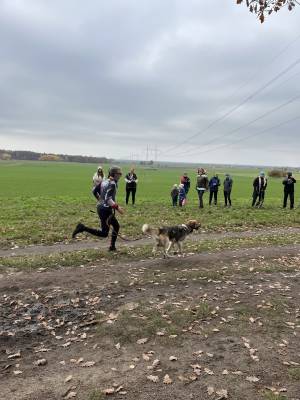 Šampionát plemen 2025 - canicross