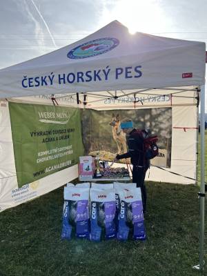 Šampionát plemen 2025 - canicross