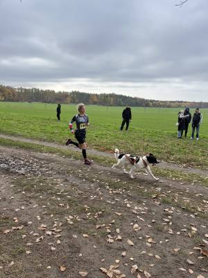 Šampionát plemen 2025 - canicross