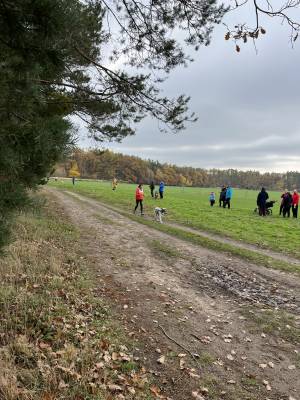 Šampionát plemen 2025 - canicross