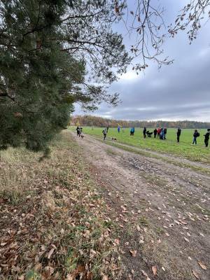 Šampionát plemen 2025 - canicross
