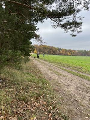 Šampionát plemen 2025 - canicross