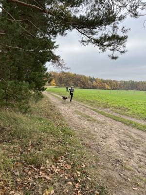 Šampionát plemen 2025 - canicross