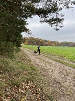 Šampionát plemen 2025 - canicross