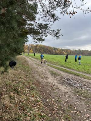 Šampionát plemen 2025 - canicross