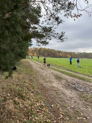 Šampionát plemen 2025 - canicross