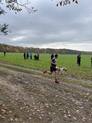 Šampionát plemen 2025 - canicross