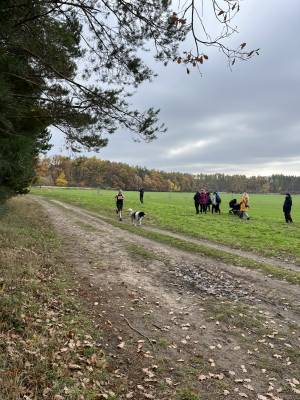 Šampionát plemen 2025 - canicross