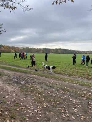 Šampionát plemen 2025 - canicross