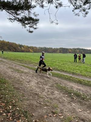 Šampionát plemen 2025 - canicross