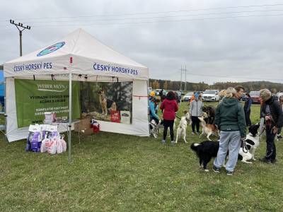 Šampionát plemen 2025 - canicross