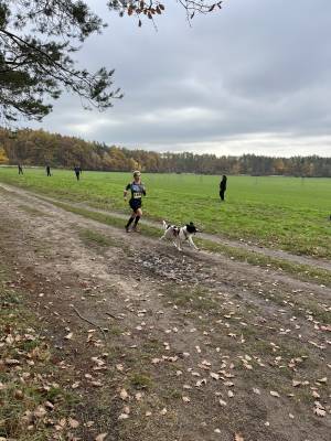 Šampionát plemen 2025 - canicross