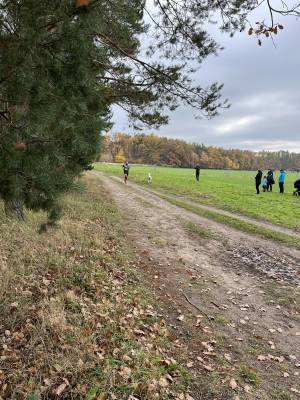 Šampionát plemen 2025 - canicross