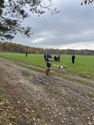 Šampionát plemen 2025 - canicross