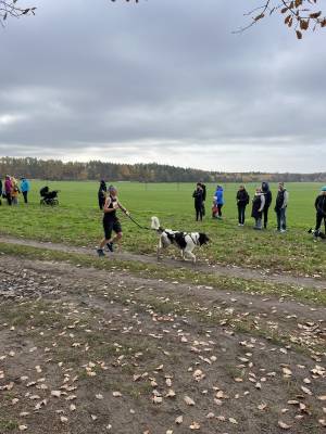 Šampionát plemen 2025 - canicross