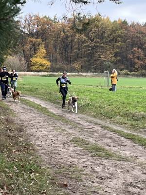 Šampionát plemen 2025 - canicross