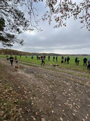 Šampionát plemen 2025 - canicross