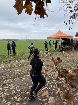 Šampionát plemen 2025 - canicross