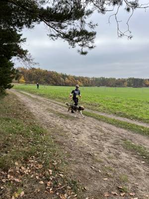 Šampionát plemen 2025 - canicross