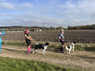 Šampionát plemen 2025 - canicross