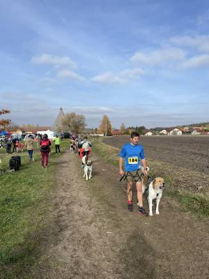 Šampionát plemen 2025 - canicross