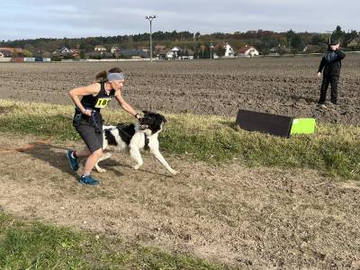 Šampionát plemen 2025 - canicross