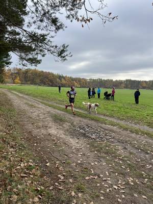 Šampionát plemen 2025 - canicross