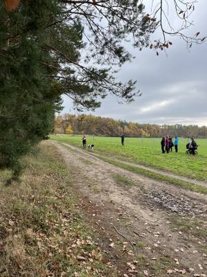 Šampionát plemen 2025 - canicross