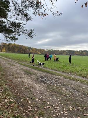 Šampionát plemen 2025 - canicross