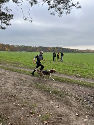 Šampionát plemen 2025 - canicross