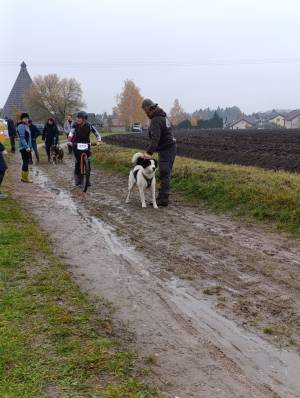 Šampionát plemen 2025 - canicross