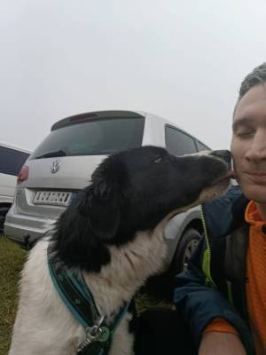 Šampionát plemen 2025 - canicross