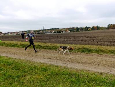 Šampionát plemen 2025 - canicross