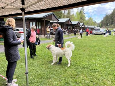 Speciální výstava ČHP 17. 5. 2025 Bučnice