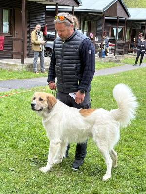 Speciální výstava ČHP 17. 5. 2025 Bučnice
