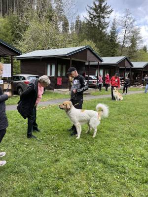 Speciální výstava ČHP 17. 5. 2025 Bučnice