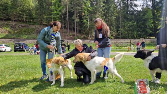 Speciální výstava ČHP 17. 5. 2025 Bučnice