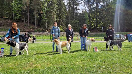 Speciální výstava ČHP 17. 5. 2025 Bučnice