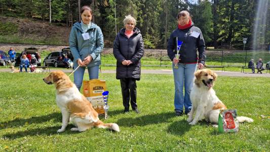 Speciální výstava ČHP 17. 5. 2025 Bučnice