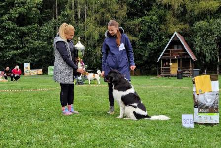 Vítězové klubových výstav