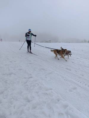 Zásadský sprint/mid 2026